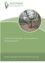 A review of sustainable visitor numbers at Burnham Beeches